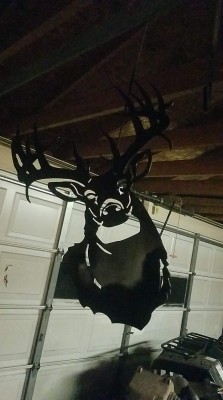 received_2337483216526460.jpeg (139.5 KiB) Viewed 28179 times received_2337483216526460.jpeg